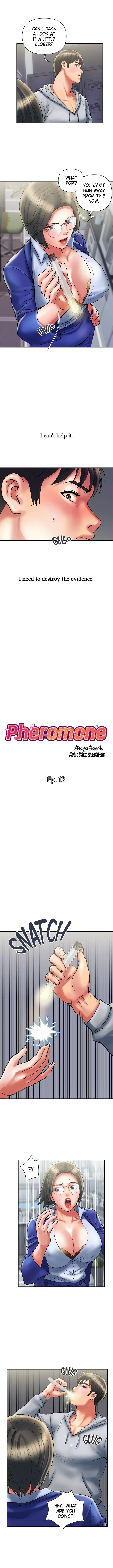 Pheromones - Chapter 12 Page 2