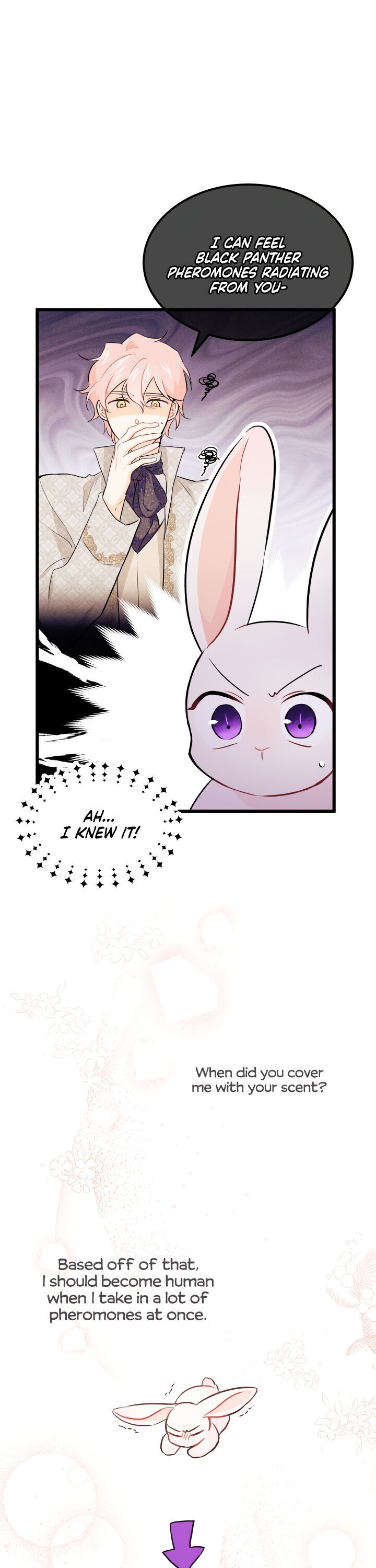 The Symbiotic Relationship Between A Rabbit and A Black Panther - Chapter 22 Page 14