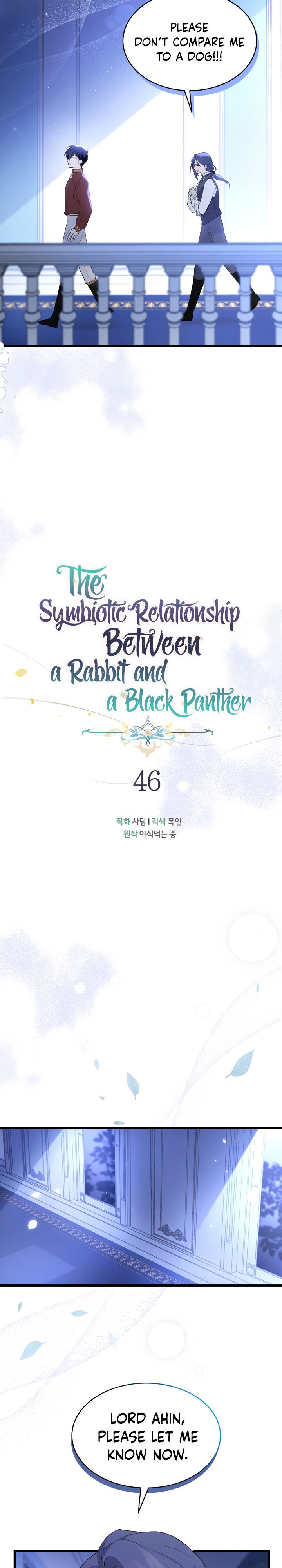 The Symbiotic Relationship Between A Rabbit and A Black Panther - Chapter 46 Page 5