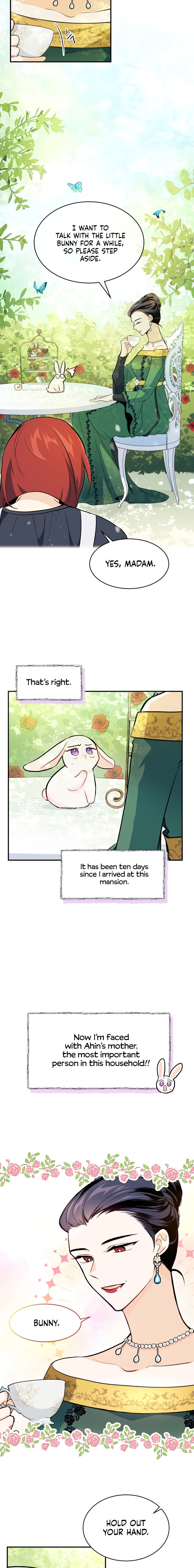 The Symbiotic Relationship Between A Rabbit and A Black Panther - Chapter 5 Page 4