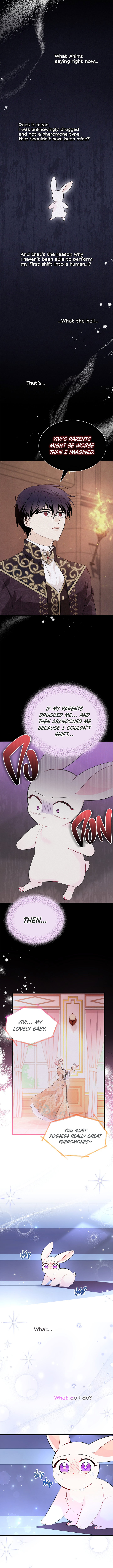 The Symbiotic Relationship Between A Rabbit and A Black Panther - Chapter 58 Page 9