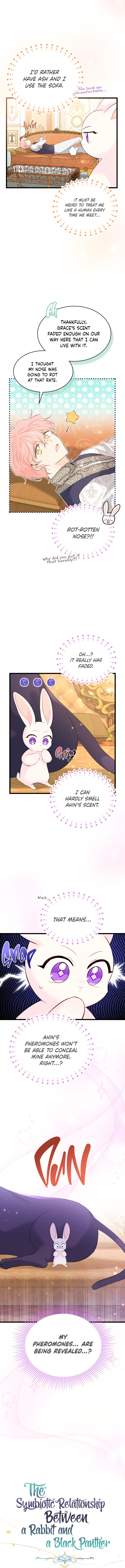 The Symbiotic Relationship Between A Rabbit and A Black Panther - Chapter 63 Page 3