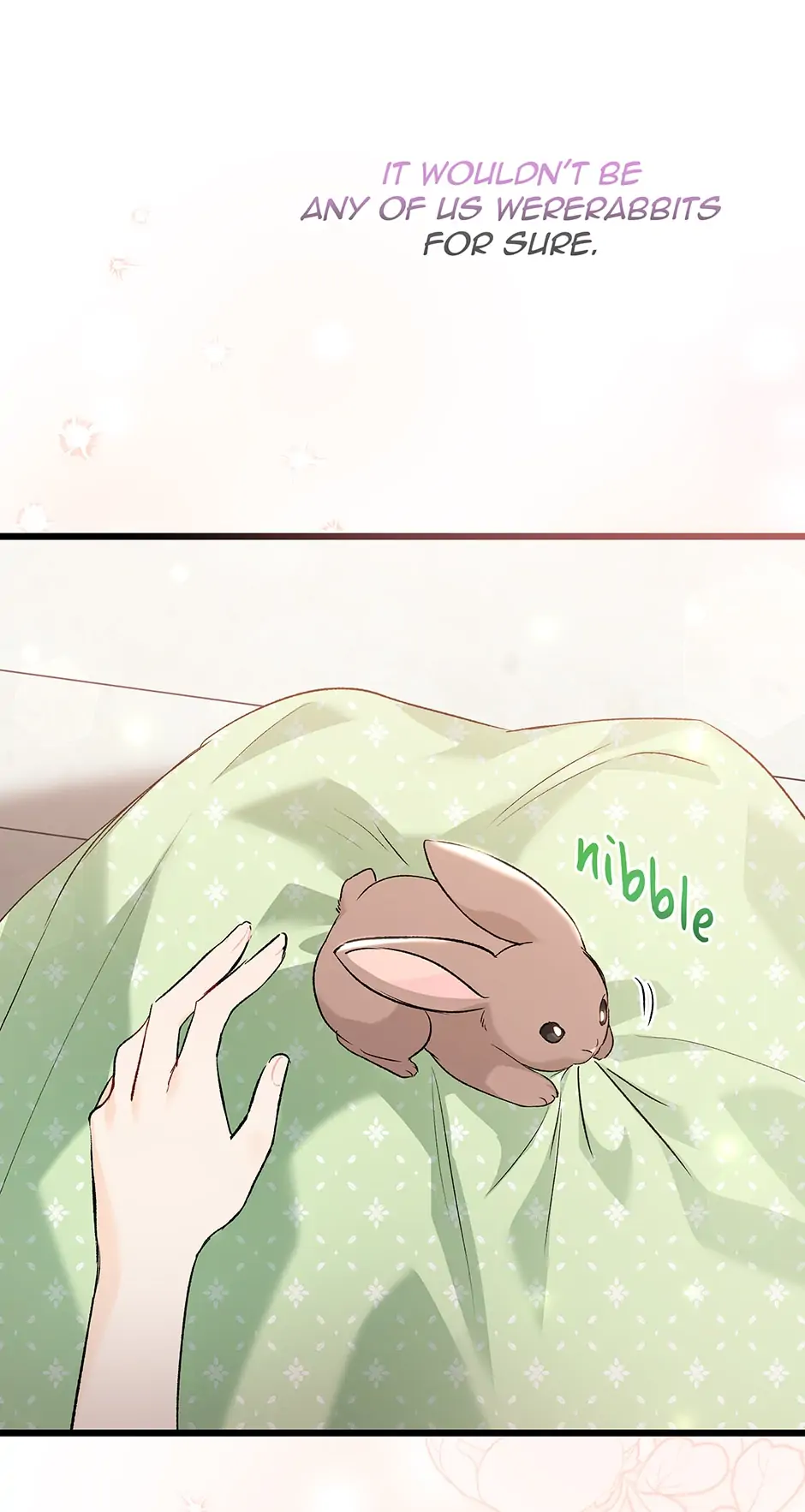The Symbiotic Relationship Between A Rabbit and A Black Panther - Chapter 75 Page 74
