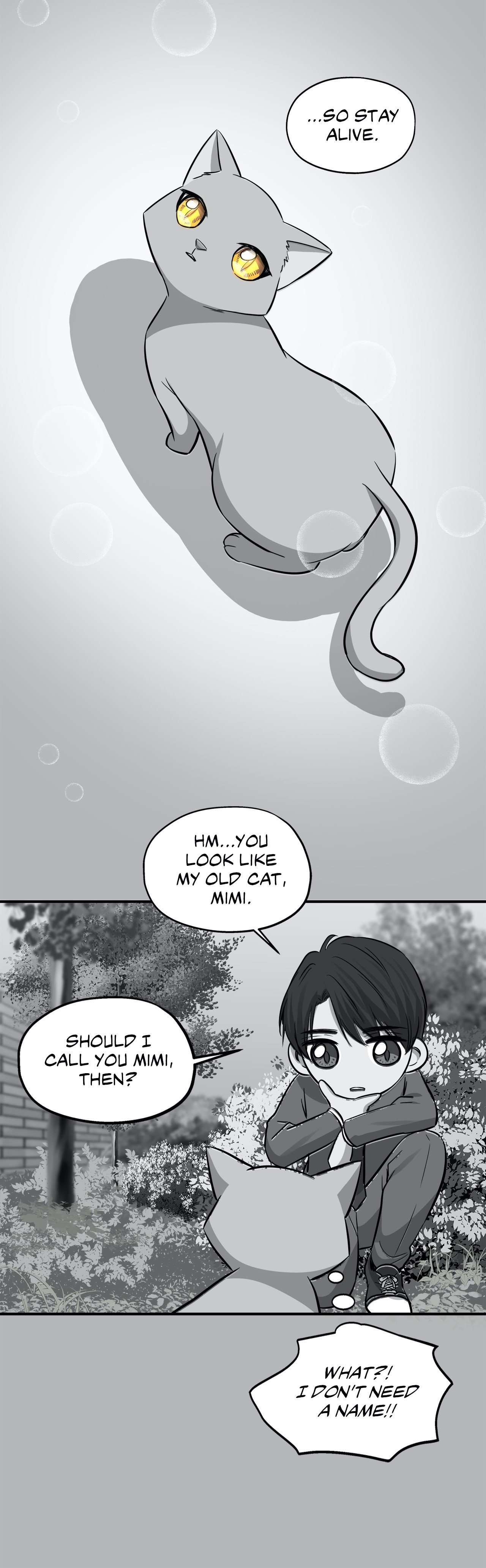 Just for a Meowment - Chapter 41 Page 14