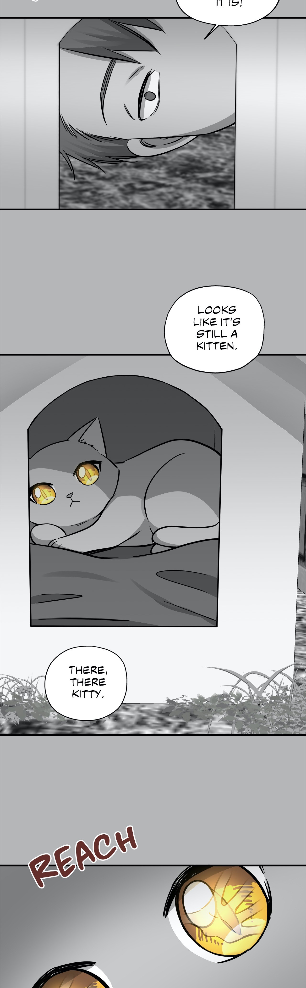 Just for a Meowment - Chapter 41 Page 17