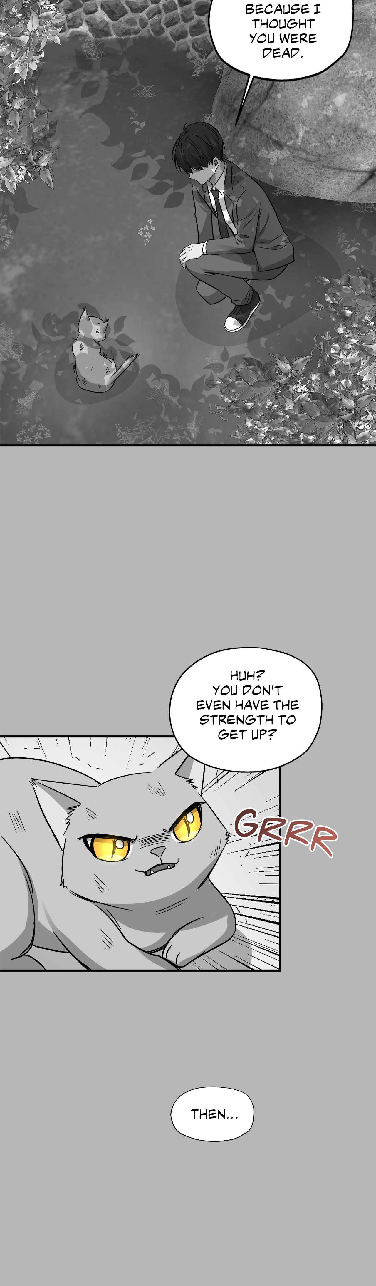 Just for a Meowment - Chapter 41 Page 9