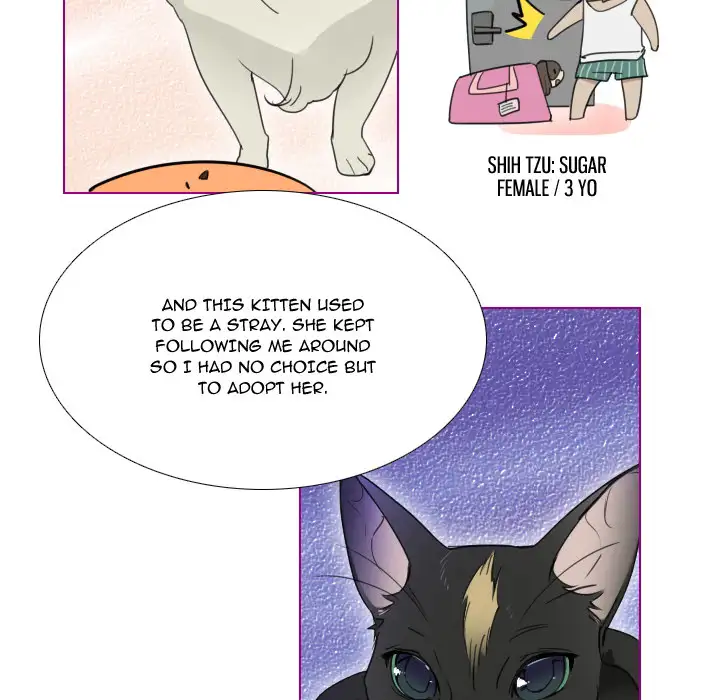 Sugar 'N Spice - Chapter 1 Page 17